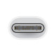 Перехідник USB-C to Lightning Adapter for Apple (AAA) (box)